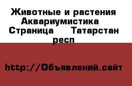 Животные и растения Аквариумистика - Страница 2 . Татарстан респ.